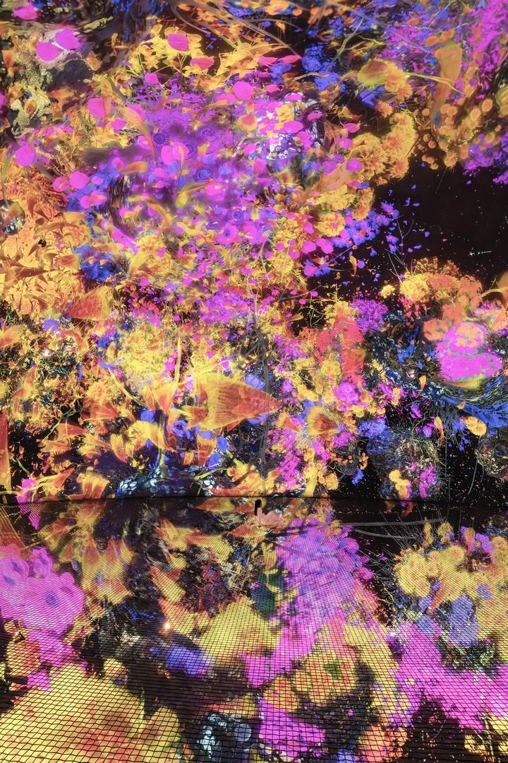 生命宇宙 Biocosmos / 阿布扎比teamLab★Phenomena