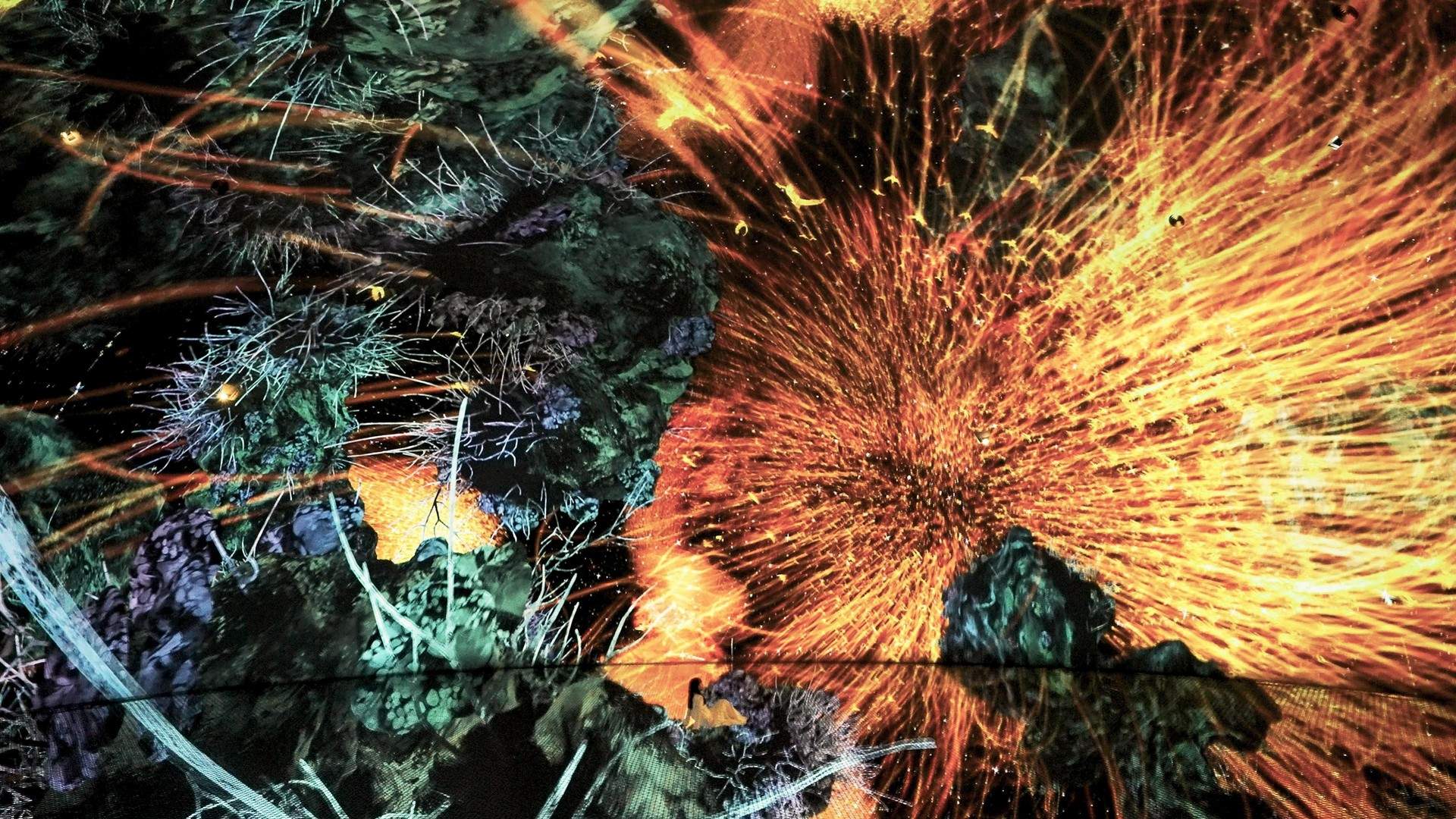 生命宇宙 Biocosmos / 阿布扎比teamLab★Phenomena