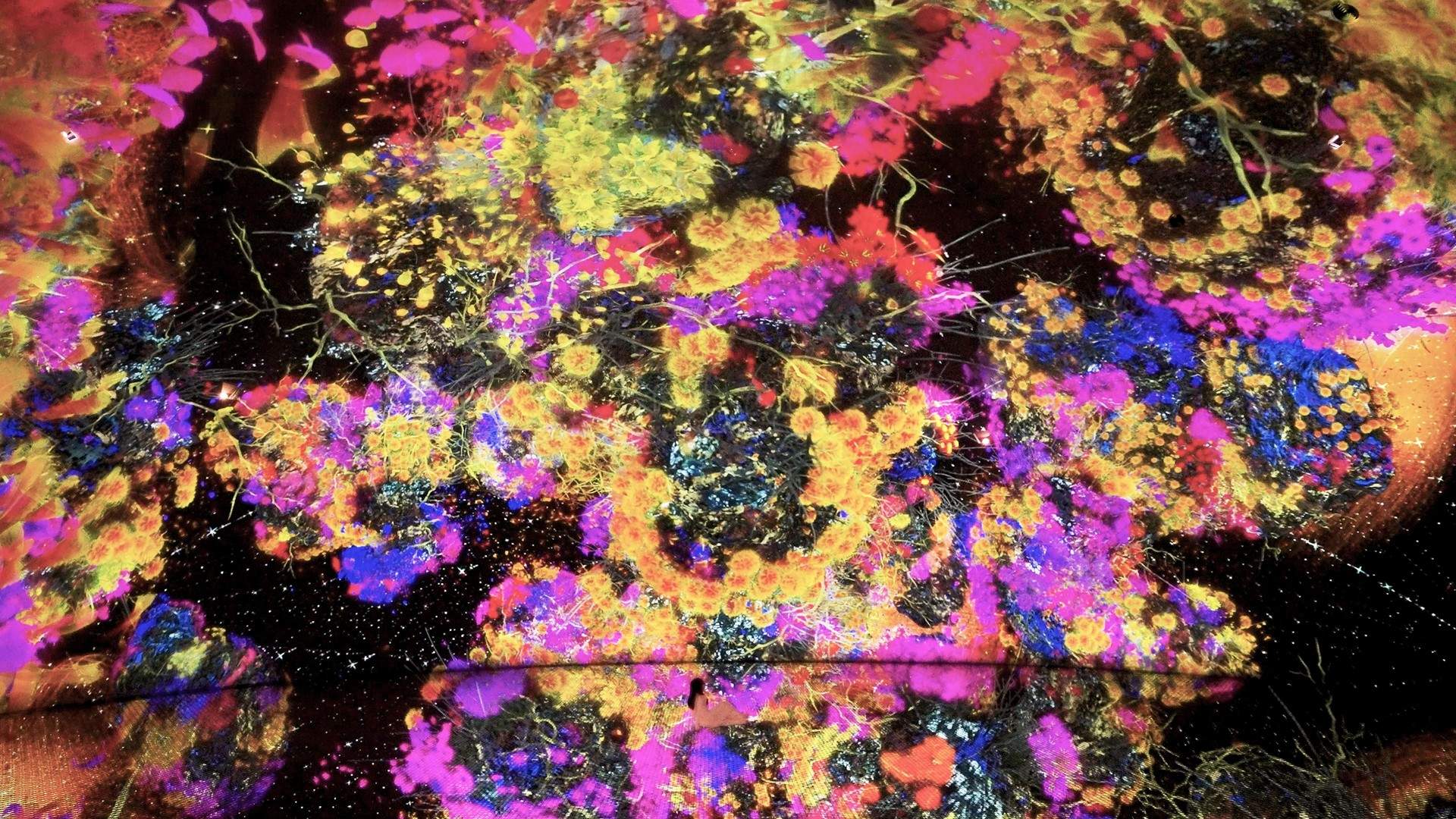 生命宇宙 Biocosmos / 阿布扎比teamLab★Phenomena