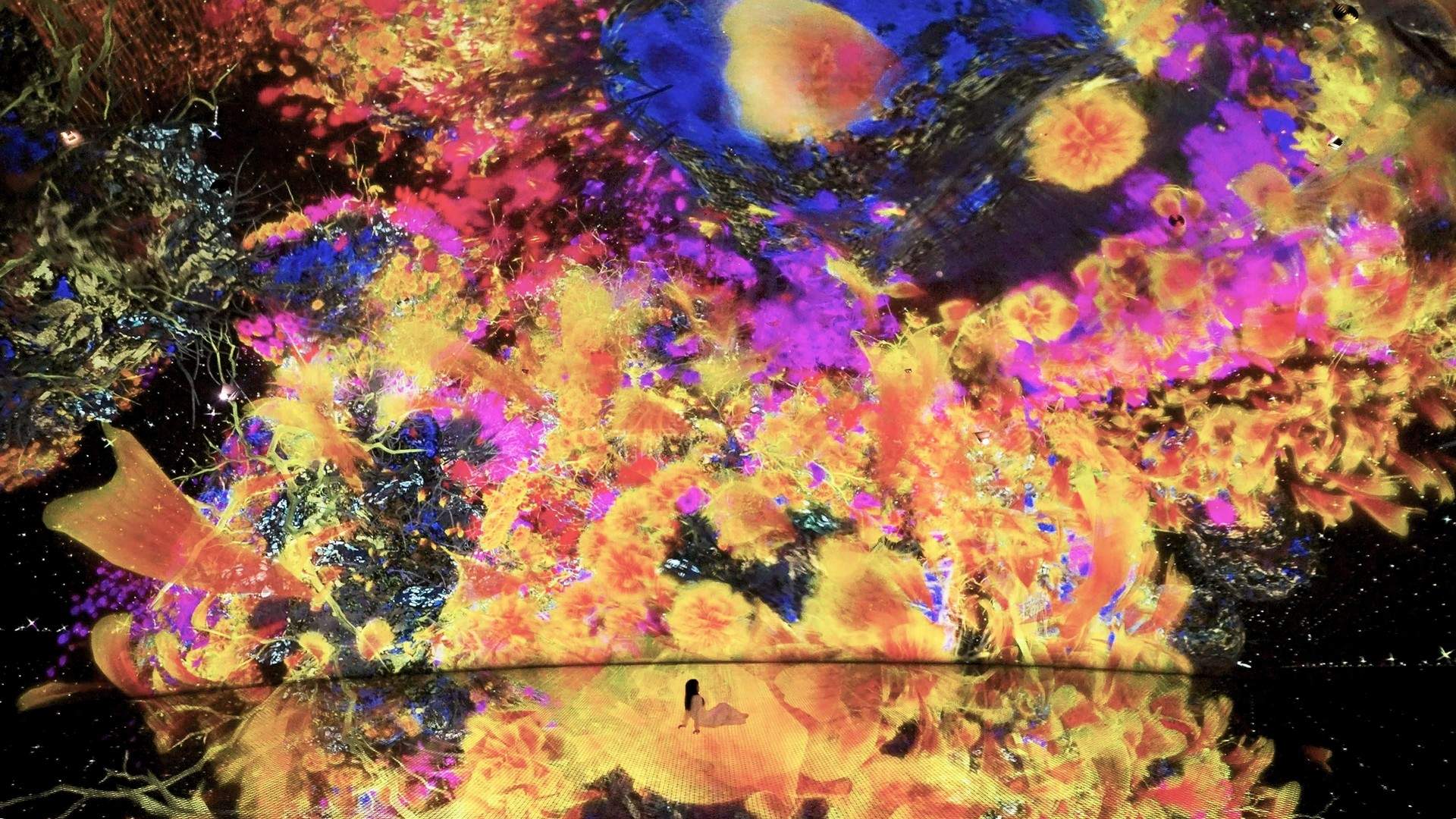 生命宇宙 Biocosmos / 阿布扎比teamLab★Phenomena