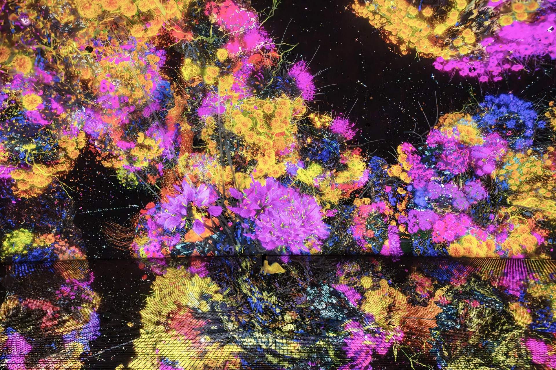 生命宇宙 Biocosmos / 阿布扎比teamLab★Phenomena