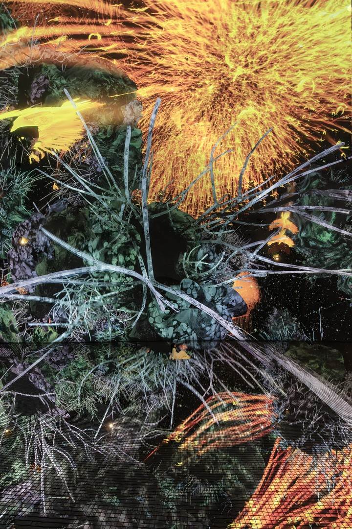 生命宇宙 Biocosmos / 阿布扎比teamLab★Phenomena