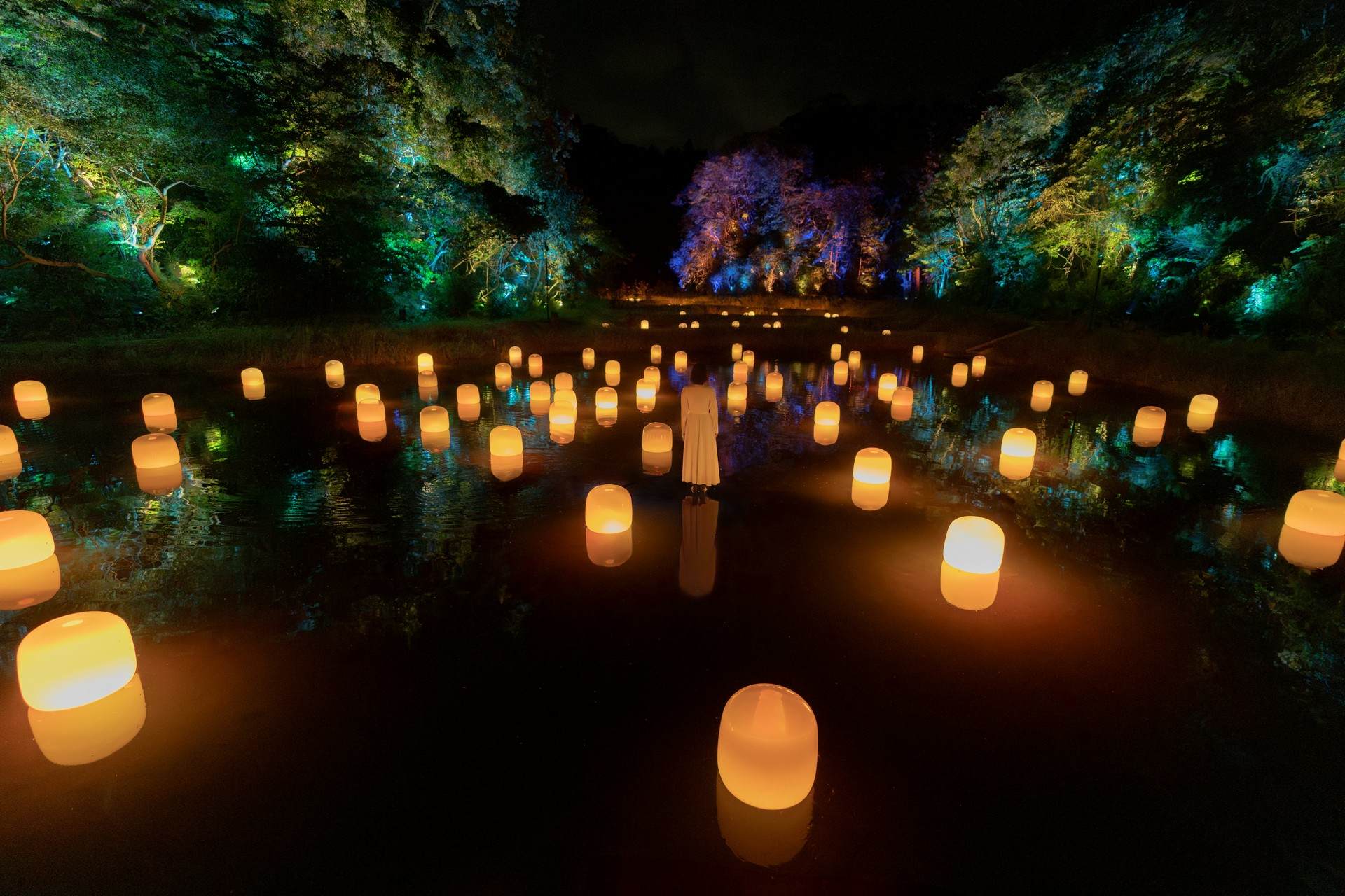 隐藏的梯田痕迹 Hidden Traces of Rice Terraces / teamLab Izura（日本）
