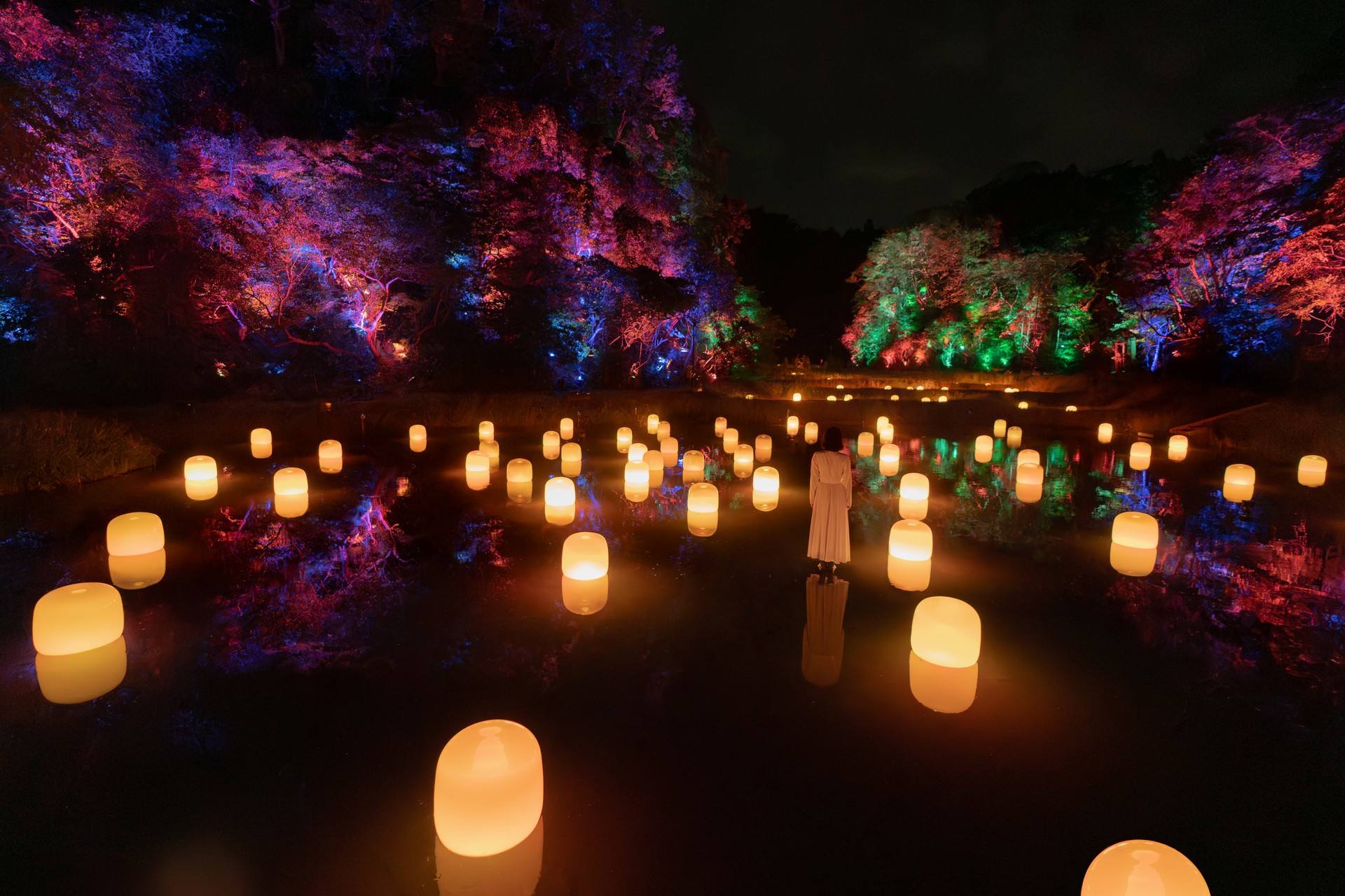 隐藏的梯田痕迹 Hidden Traces of Rice Terraces / teamLab Izura（日本）