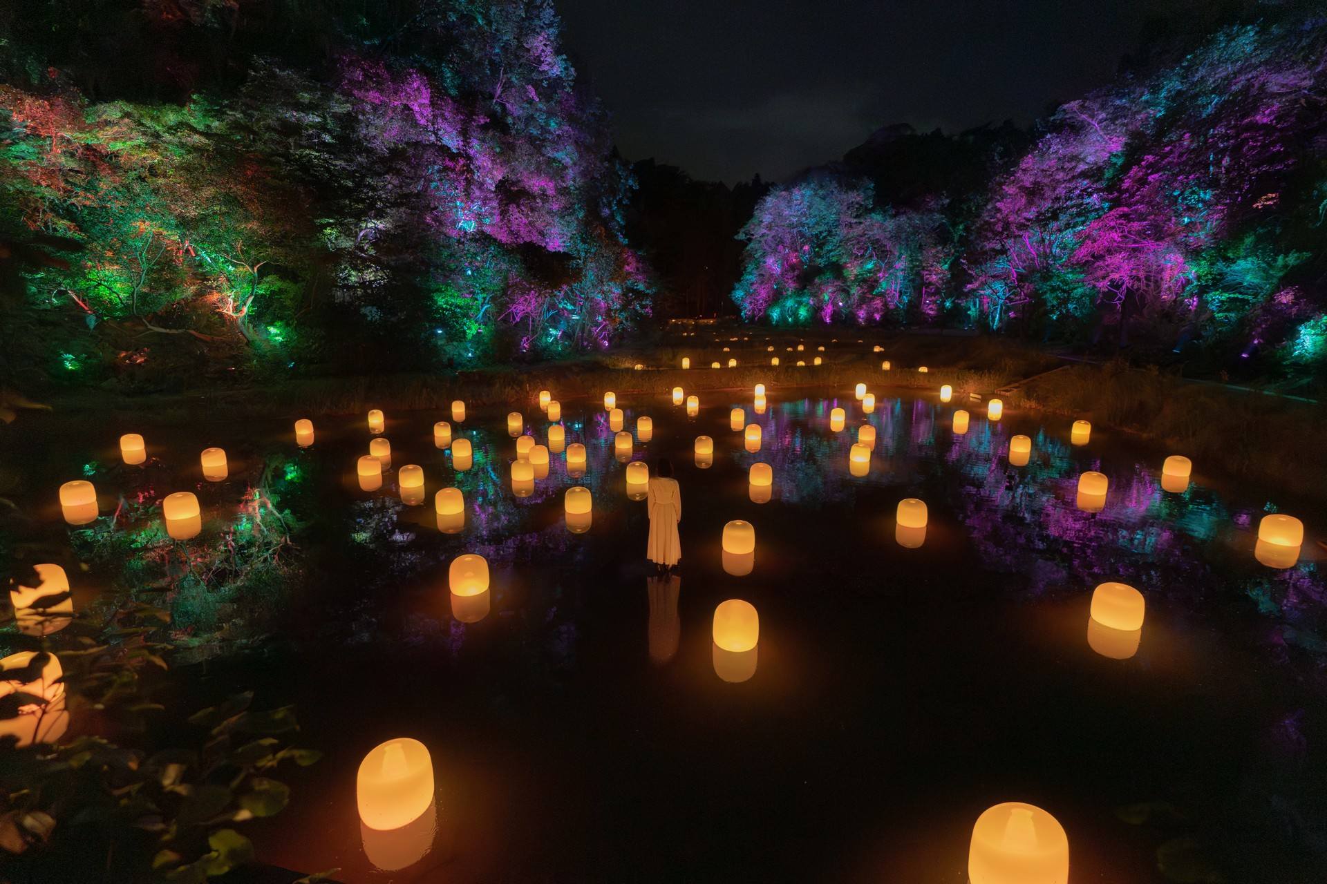 隐藏的梯田痕迹 Hidden Traces of Rice Terraces / teamLab Izura（日本）
