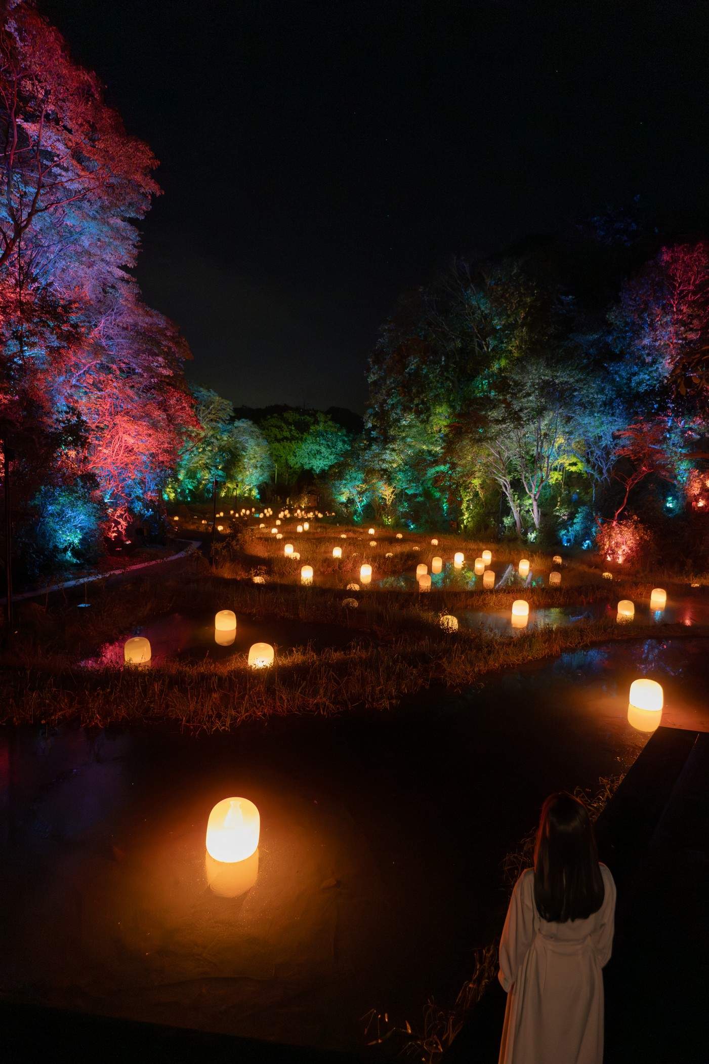 隐藏的梯田痕迹 Hidden Traces of Rice Terraces / teamLab Izura（日本）