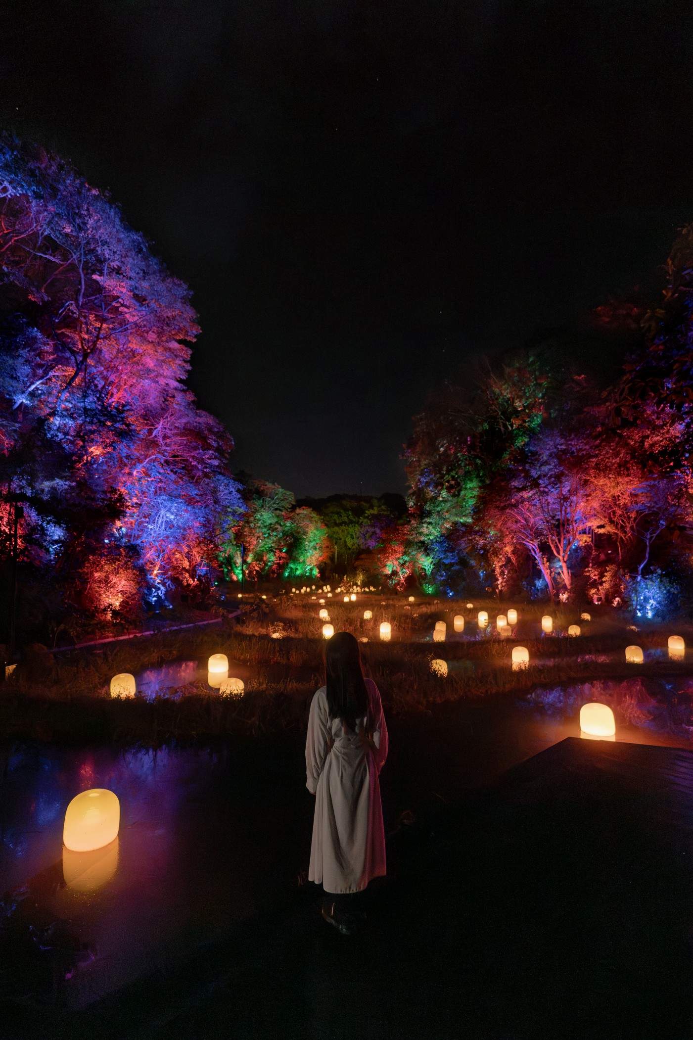 隐藏的梯田痕迹 Hidden Traces of Rice Terraces / teamLab Izura（日本）