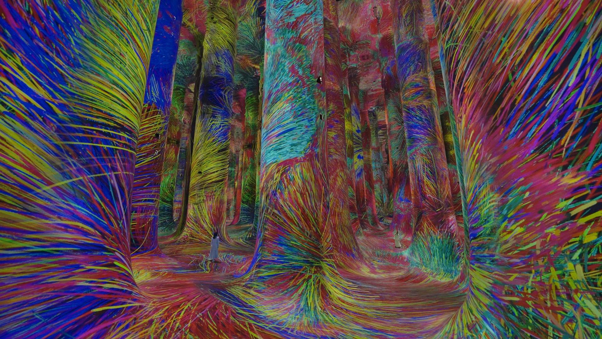 混乱中的秩序 Order in Chaos / 阿布扎比teamLab★Phenomena