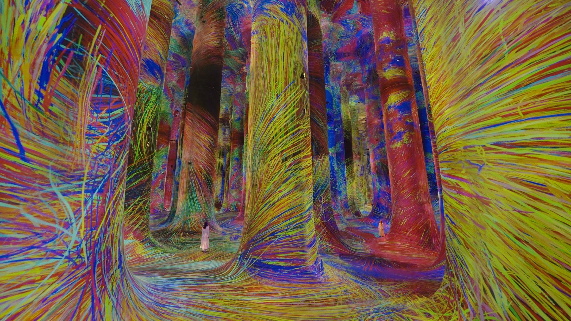 混乱中的秩序 Order in Chaos / 阿布扎比teamLab★Phenomena