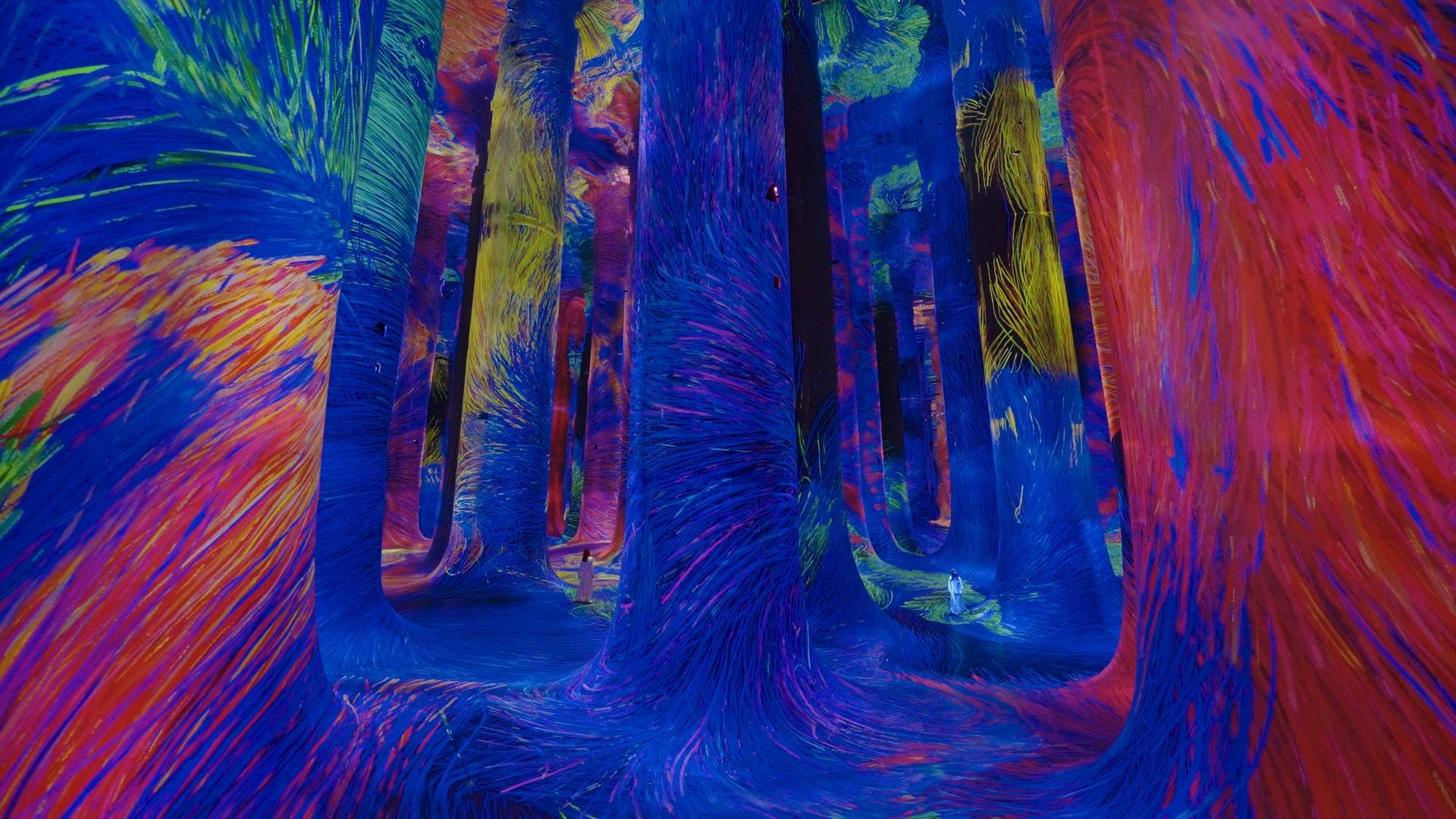 混乱中的秩序 Order in Chaos / 阿布扎比teamLab★Phenomena