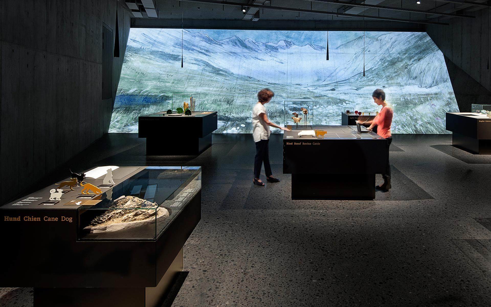 瑞士国家博物馆-瑞士考古研究展 / ATELIER BRÜCKNER布鲁克纳工作室
