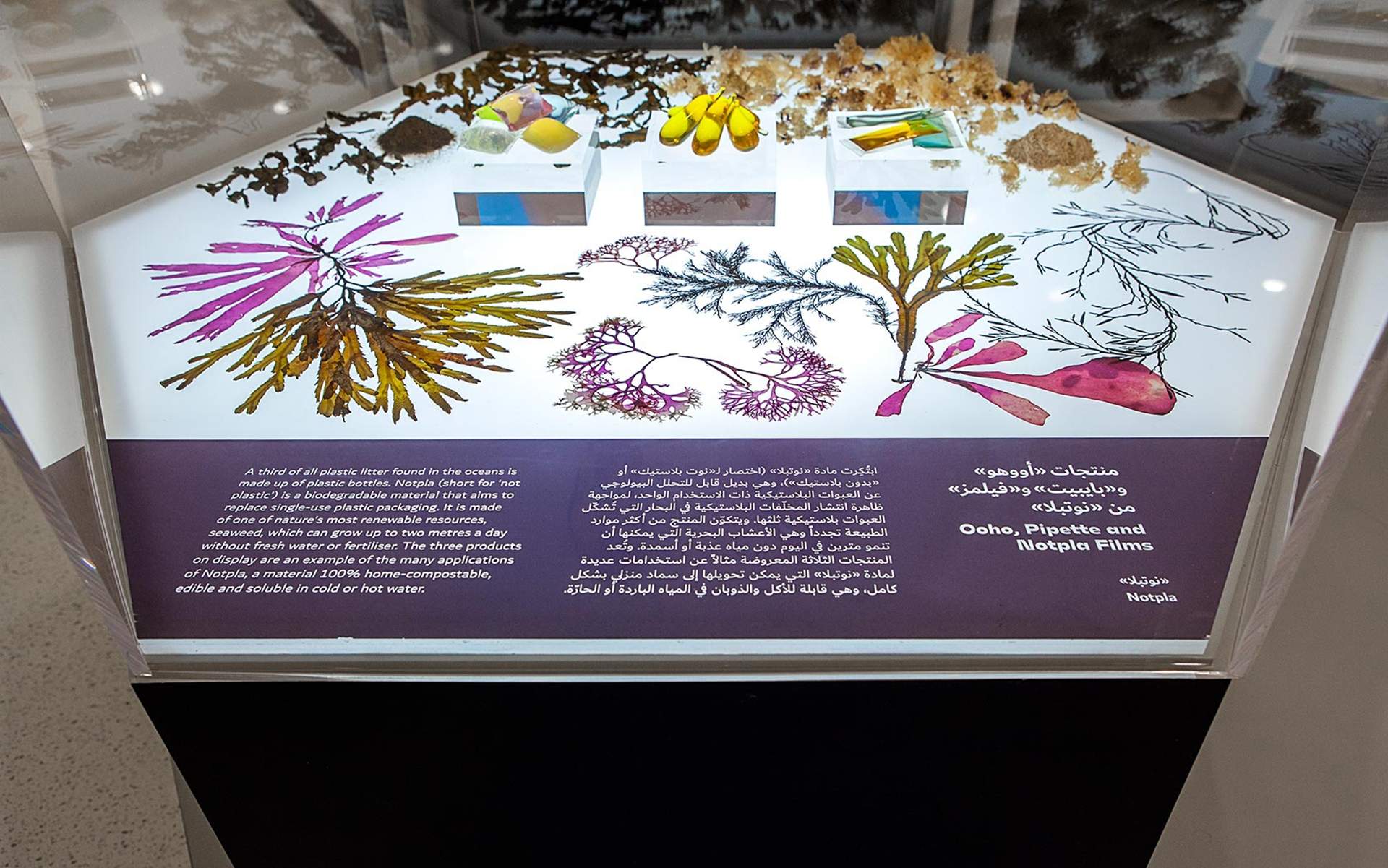 迪拜, 未来博物馆 - 《今日未来》展览 / ATELIER BRÜCKNER布鲁克纳工作室