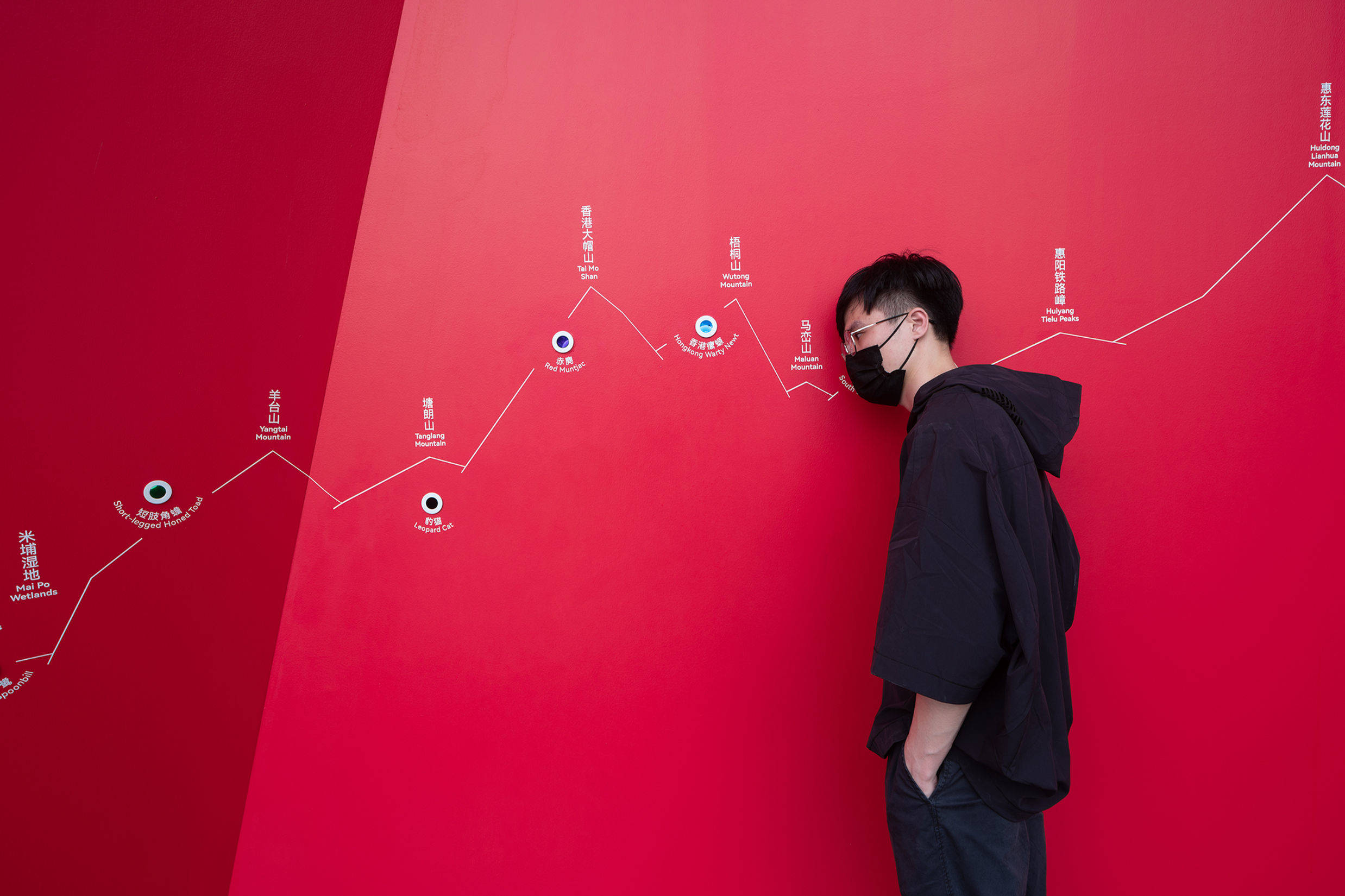 超级分镜——深圳文化多样性主题策展季 / 直径叙事设计