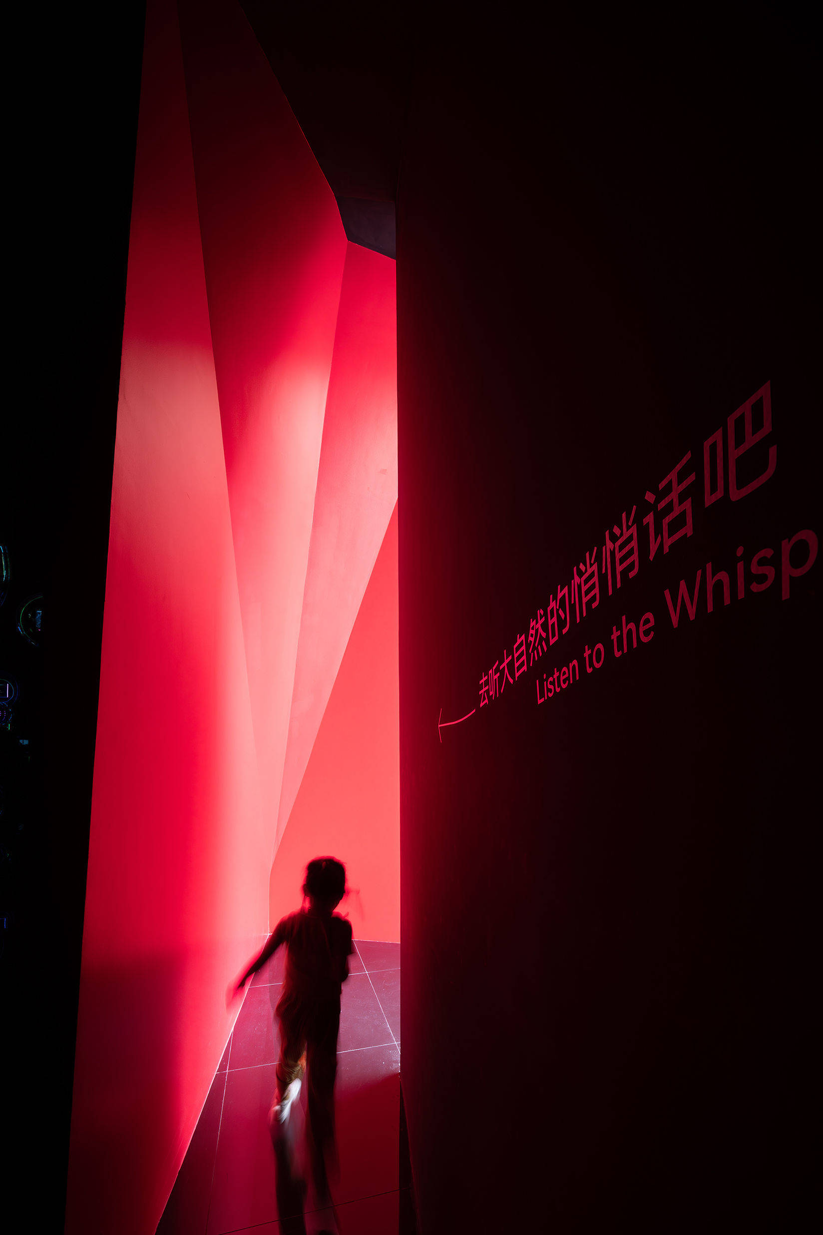 超级分镜——深圳文化多样性主题策展季 / 直径叙事设计