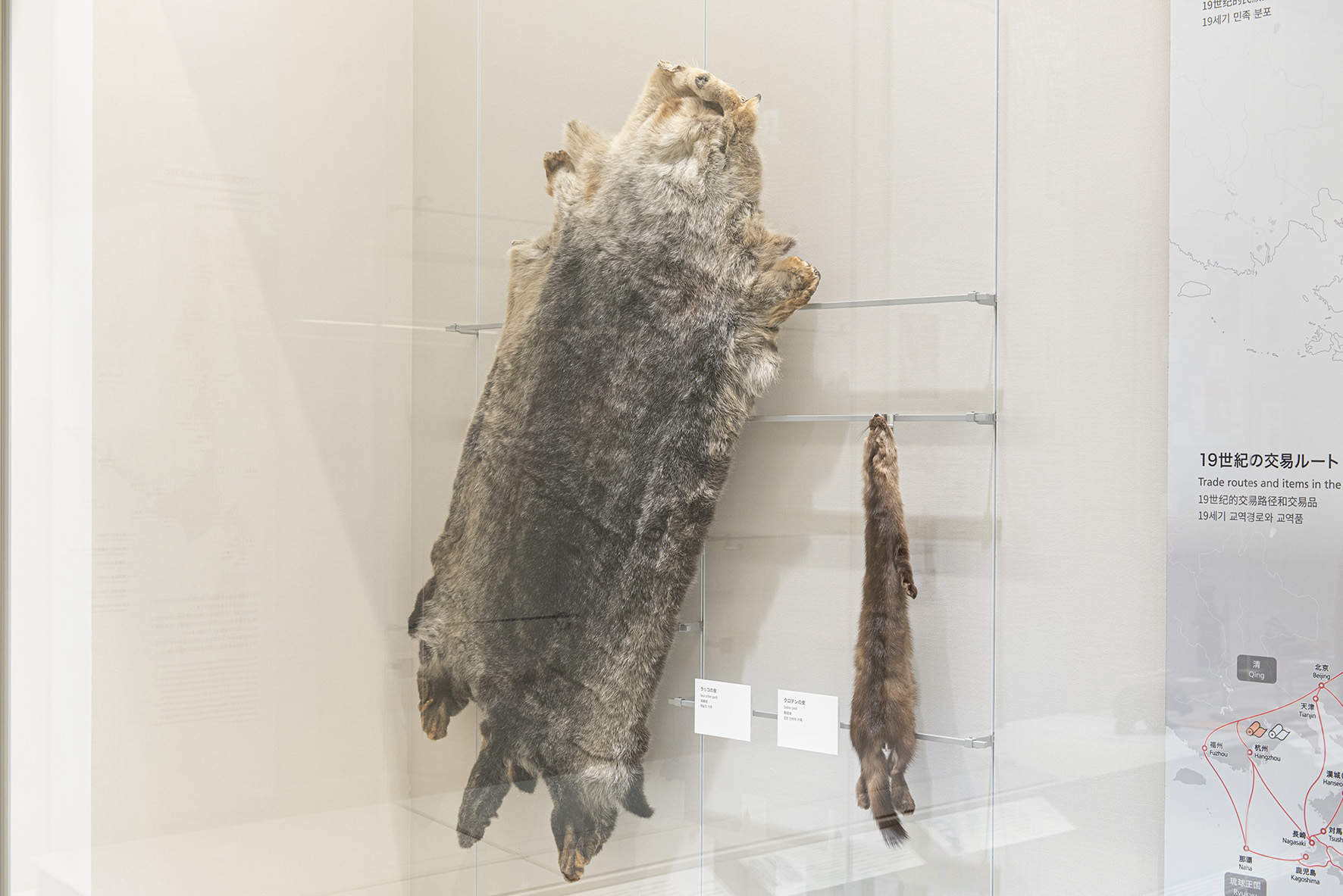 日本，国立阿伊努民族博物馆：一座由原住民“自我言说”的文化圣殿 / Tanseisha 丹青社