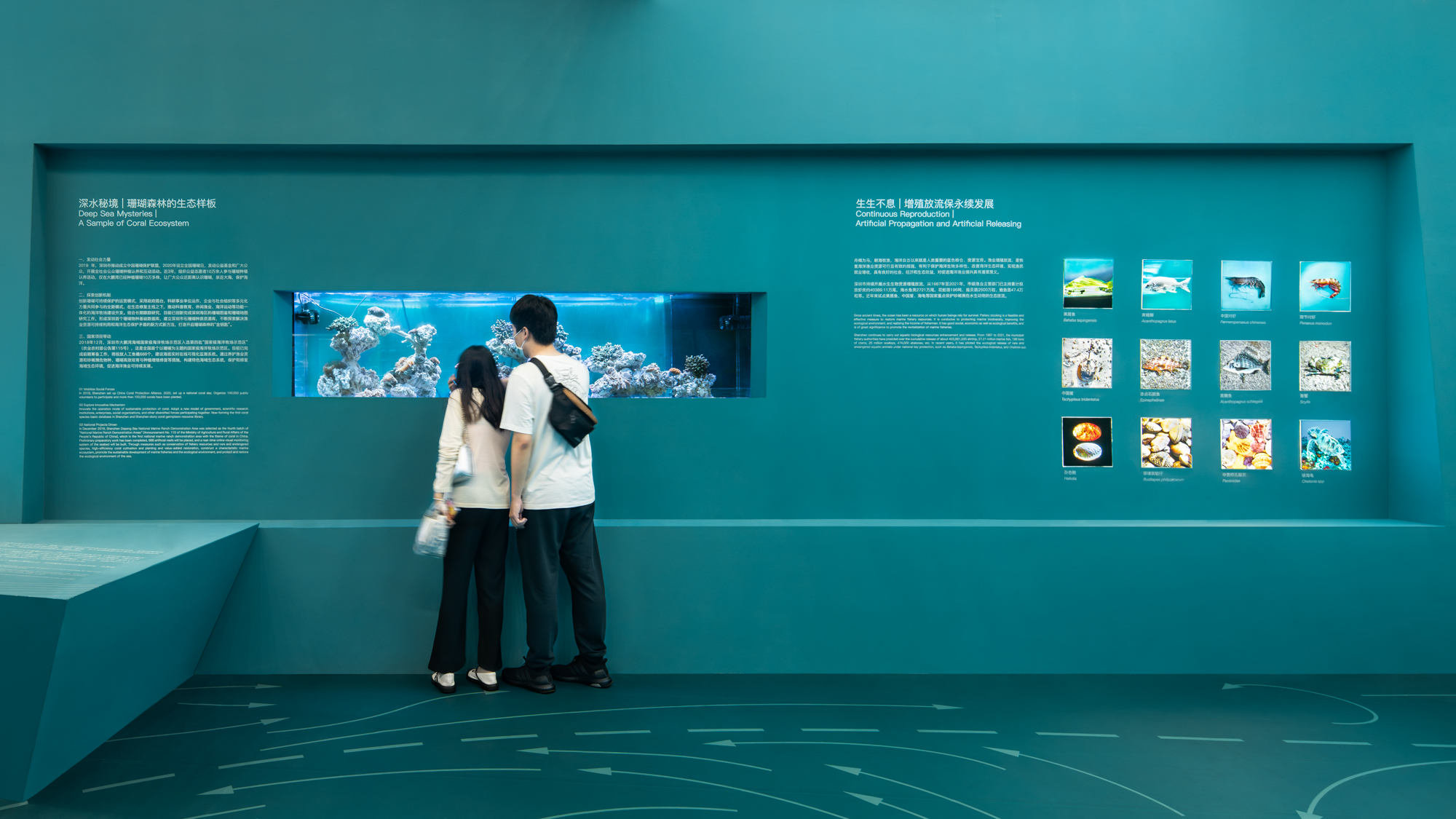 百舸争流，深圳渔博会“渔业发展建设规划展”策展及展览设计 / Pills Architects