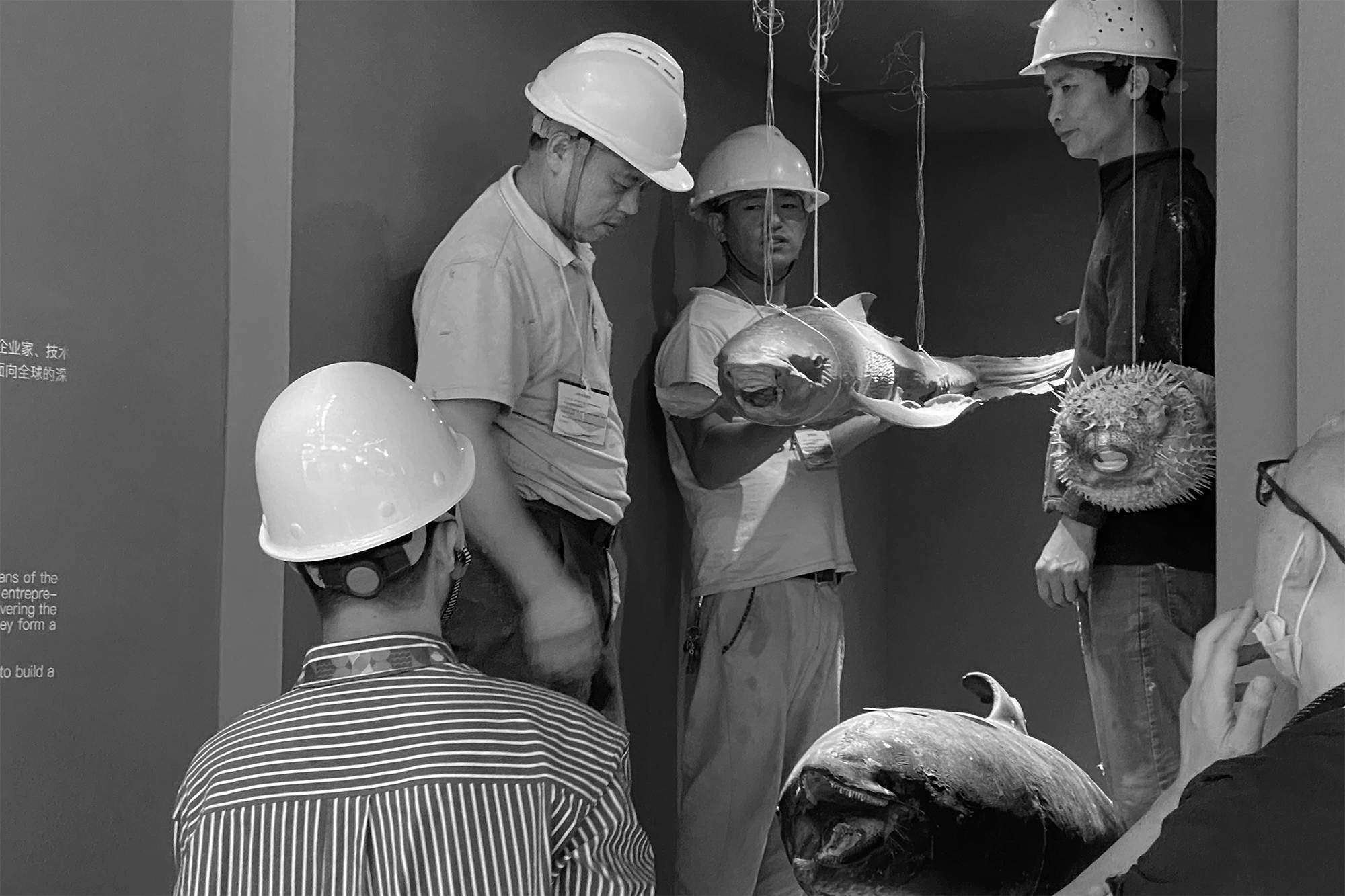 百舸争流，深圳渔博会“渔业发展建设规划展”策展及展览设计 / Pills Architects