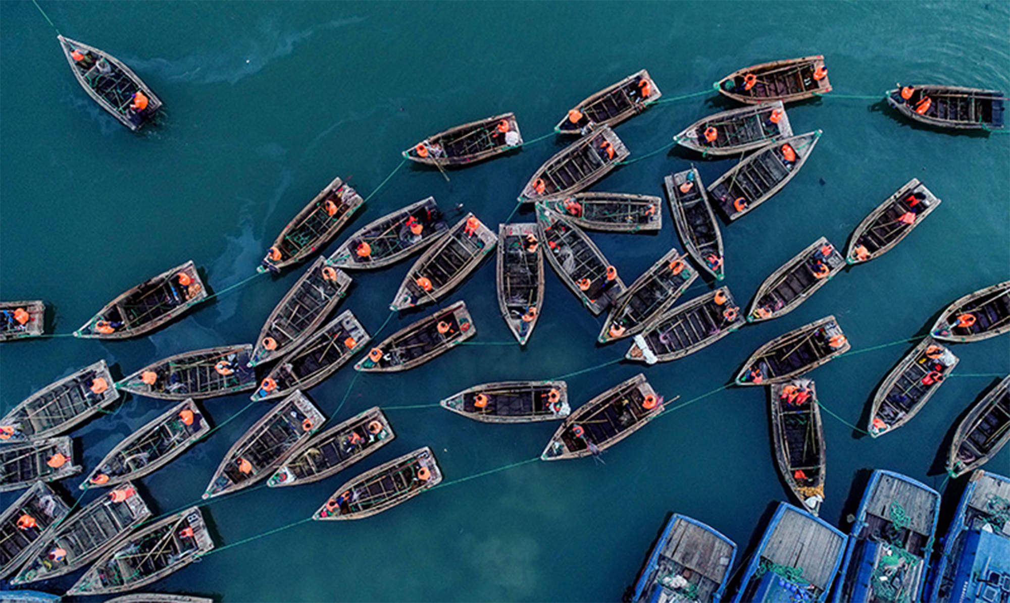 百舸争流，深圳渔博会“渔业发展建设规划展”策展及展览设计 / Pills Architects