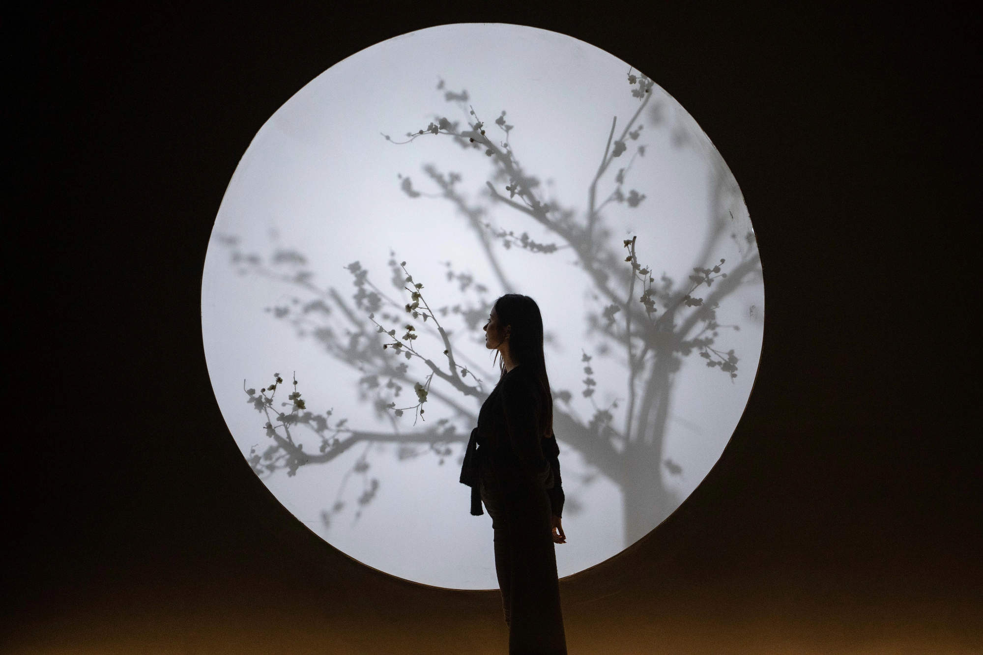 “东方智美”国宝数字体验展 / 某集体ART+TECH、央视纪录、济南华侨城、君看文化、 CCTV《国家宝藏》视觉团队