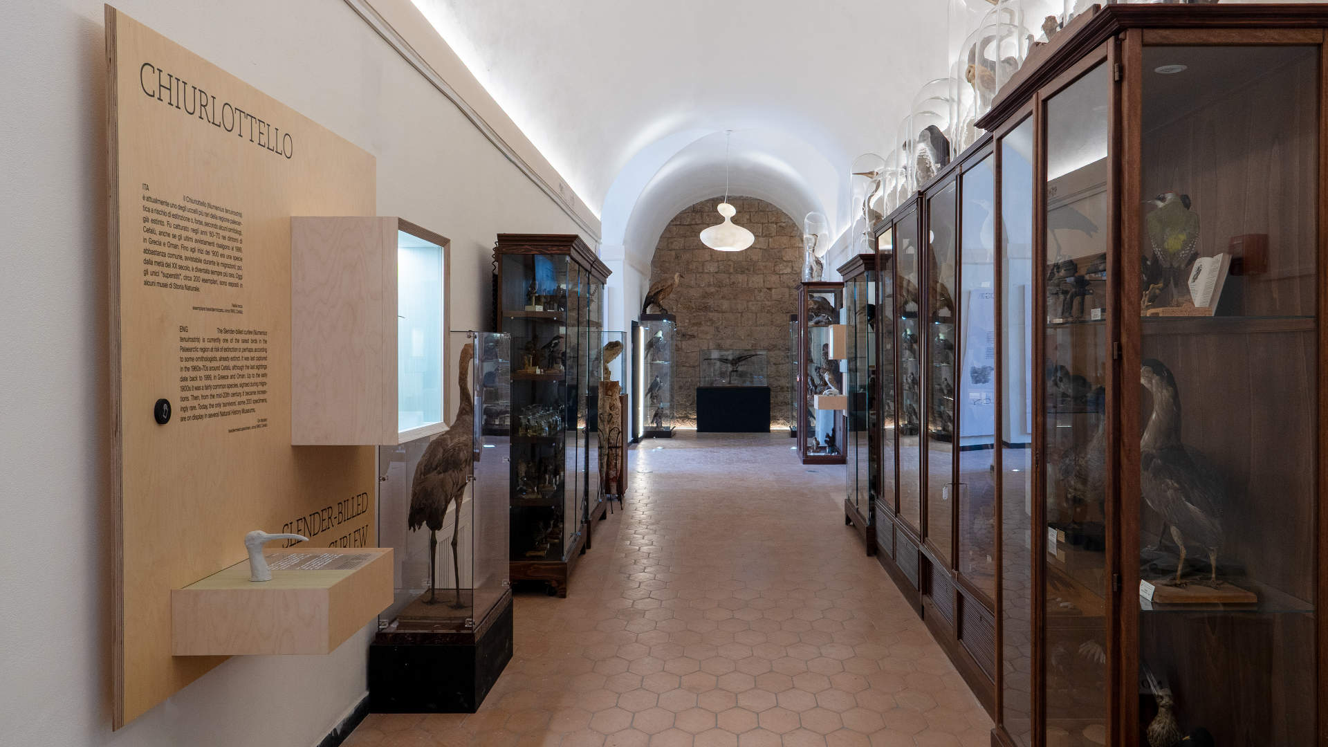 意大利，Mina Palumbo自然历史博物馆交互展陈 / Dotdotdot