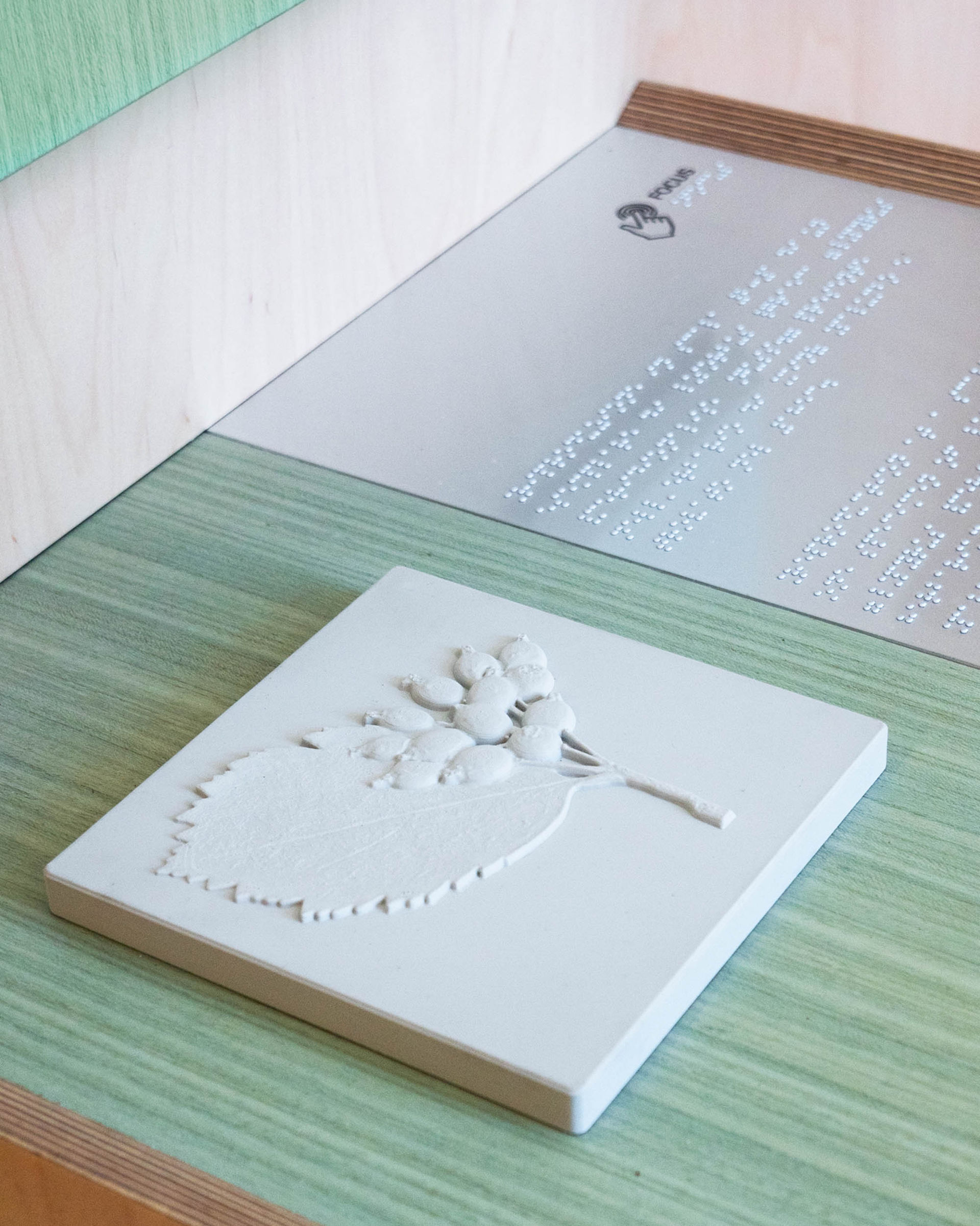 意大利，Mina Palumbo自然历史博物馆交互展陈 / Dotdotdot