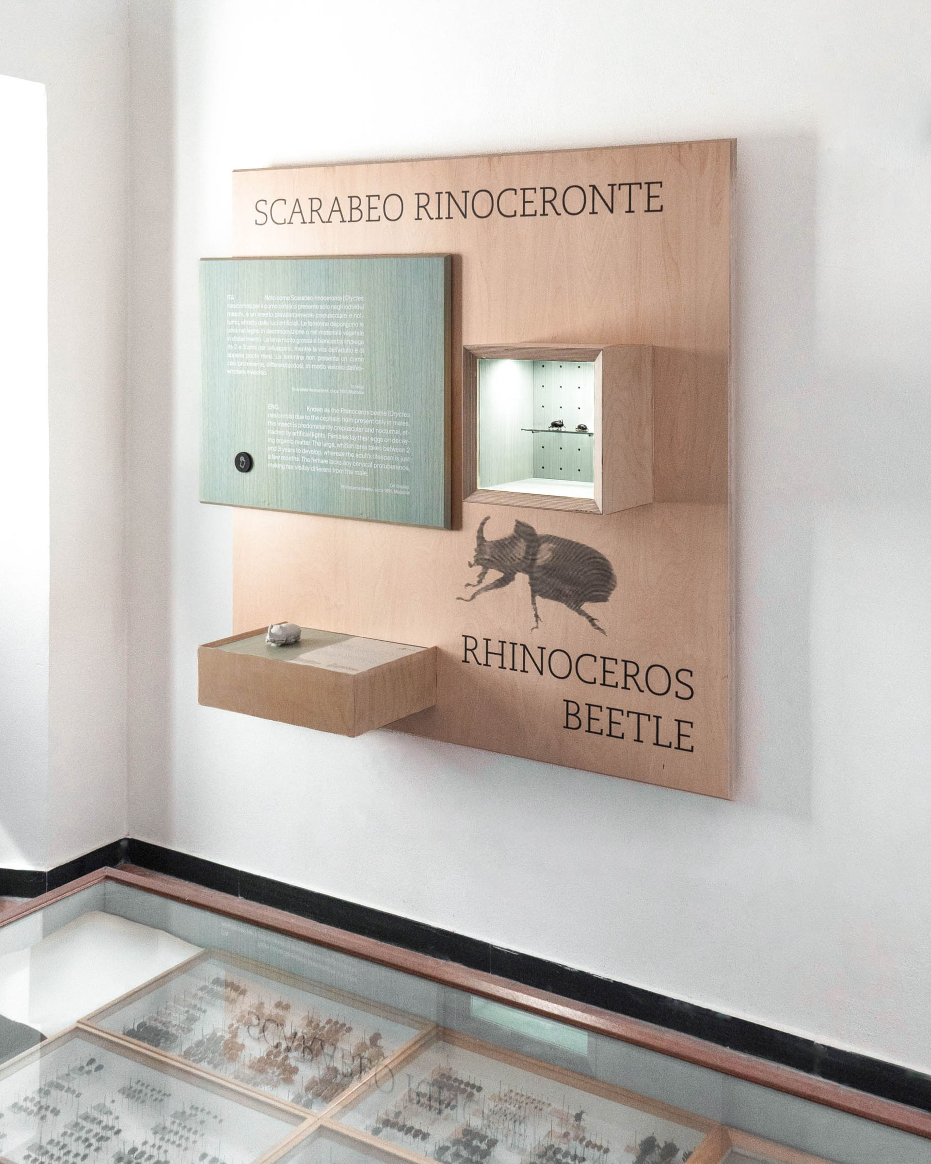 意大利，Mina Palumbo自然历史博物馆交互展陈 / Dotdotdot