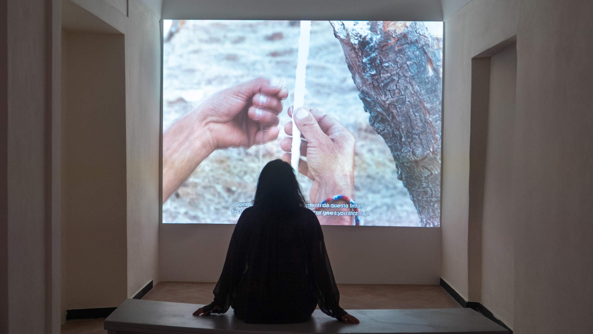 意大利，Mina Palumbo自然历史博物馆交互展陈 / Dotdotdot