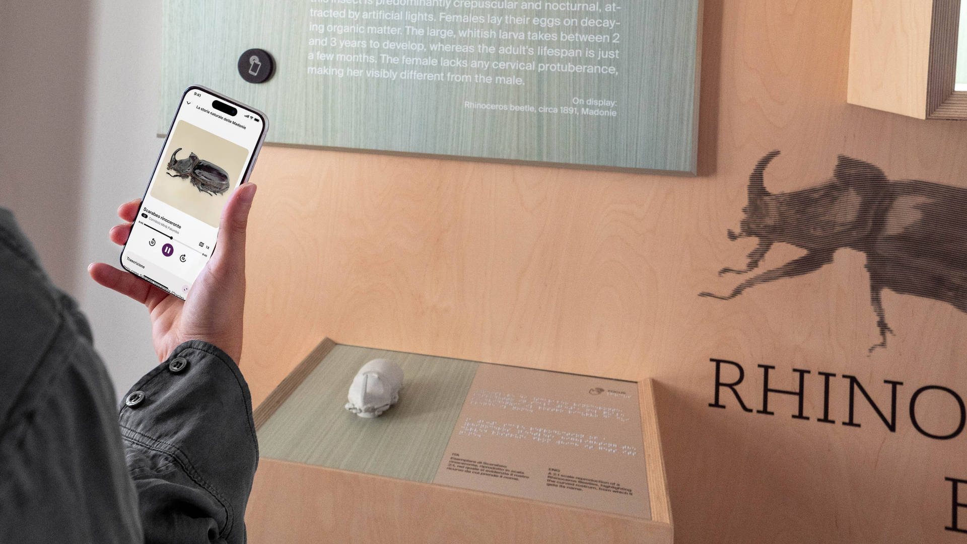 意大利，Mina Palumbo自然历史博物馆交互展陈 / Dotdotdot