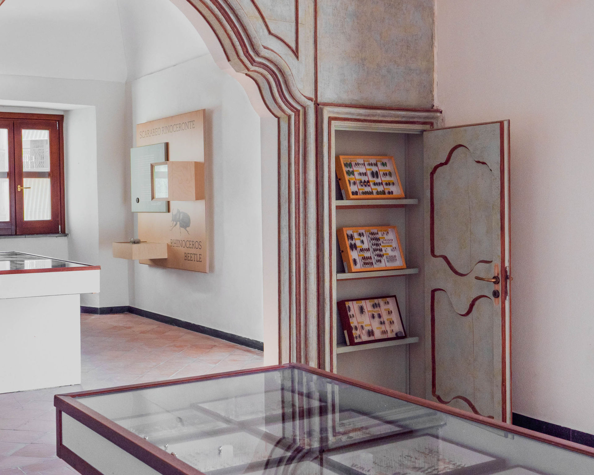 意大利，Mina Palumbo自然历史博物馆交互展陈 / Dotdotdot