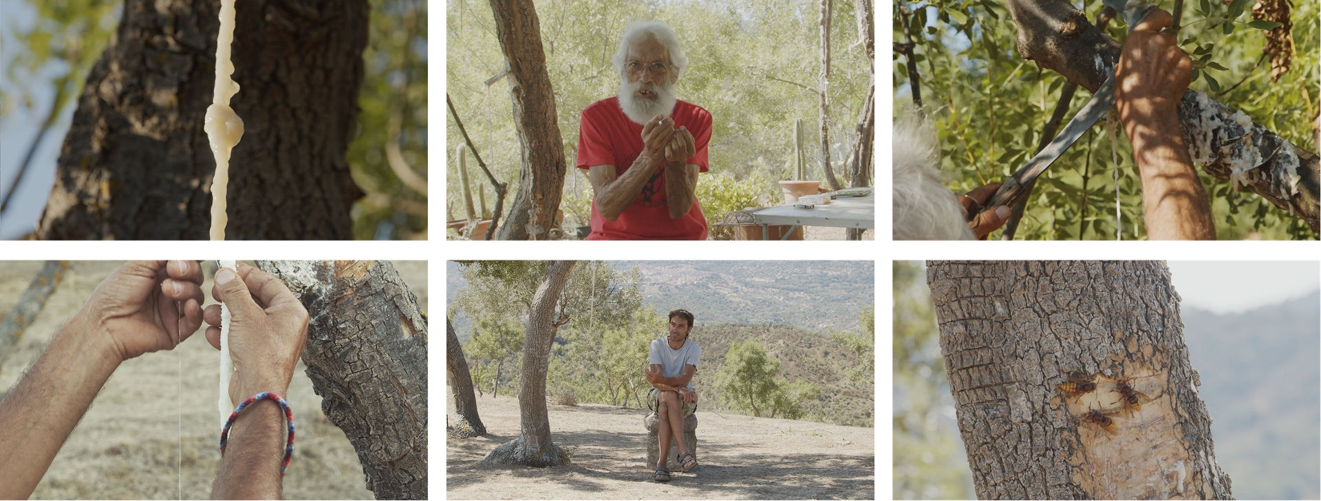 意大利，Mina Palumbo自然历史博物馆交互展陈 / Dotdotdot