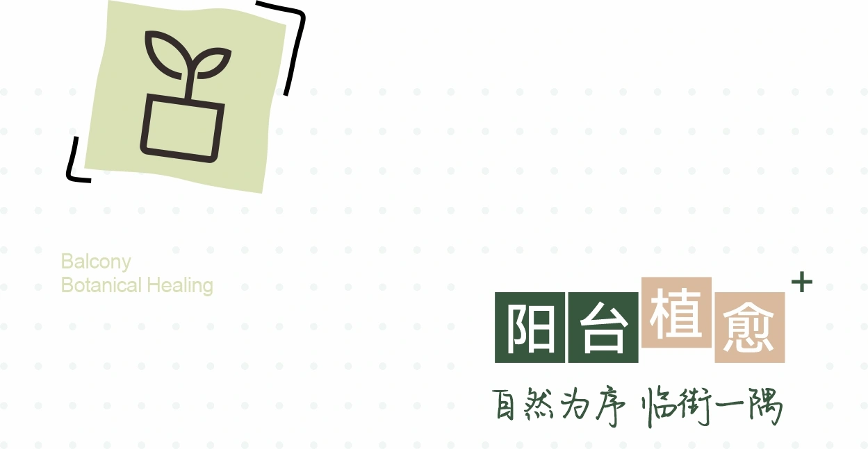 佛山,美的睿住家新范式|社区商业的长期主义,靠什么支撑? / D&M店与面创意